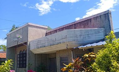 HOUSE & LOT FOR SALE – RARE 1,000 SQM PROPERTY