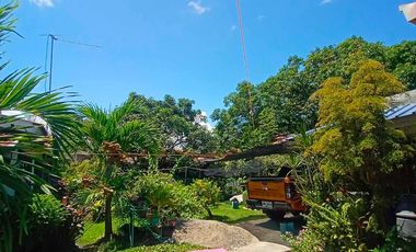 HOUSE & LOT FOR SALE – RARE 1,000 SQM PROPERTY