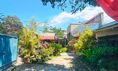 HOUSE & LOT FOR SALE – RARE 1,000 SQM PROPERTY