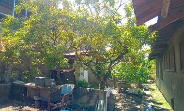 HOUSE & LOT FOR SALE – RARE 1,000 SQM PROPERTY