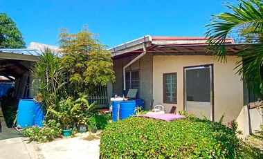 HOUSE & LOT FOR SALE – RARE 1,000 SQM PROPERTY