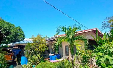 HOUSE & LOT FOR SALE – RARE 1,000 SQM PROPERTY