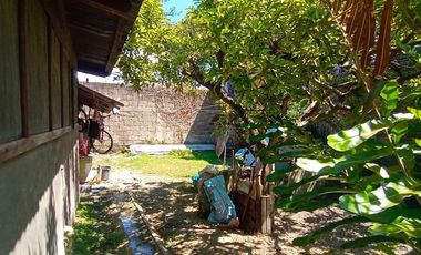 HOUSE & LOT FOR SALE – RARE 1,000 SQM PROPERTY