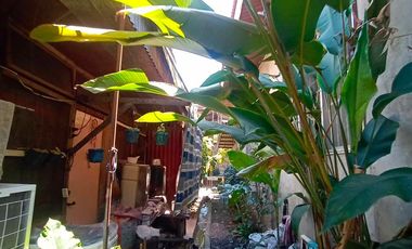 HOUSE & LOT FOR SALE – RARE 1,000 SQM PROPERTY