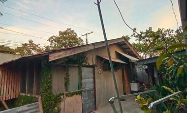 HOUSE & LOT FOR SALE – RARE 1,000 SQM PROPERTY