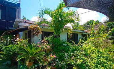 HOUSE & LOT FOR SALE – RARE 1,000 SQM PROPERTY