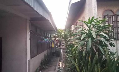 HOUSE & LOT FOR SALE – RARE 1,000 SQM PROPERTY