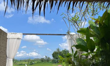 Limited units, unlimited profit potential, modern design with a Japanese touch