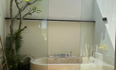 Limited units, unlimited profit potential, modern design with a Japanese touch