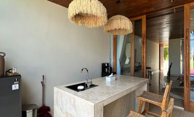 Limited units, unlimited profit potential, modern design with a Japanese touch