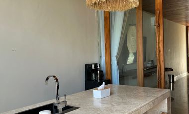 Limited units, unlimited profit potential, modern design with a Japanese touch