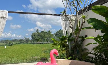 Limited units, unlimited profit potential, modern design with a Japanese touch