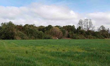 Se vende hermoso campo de 40 hectáreas en el sector Iñaqui, a solo 15 minutos del aeropuerto y 25 minutos del centro de Valdivia.