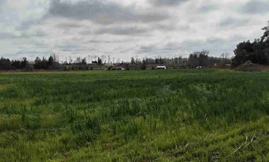 Se vende hermoso campo de 40 hectáreas en el sector Iñaqui, a solo 15 minutos del aeropuerto y 25 minutos del centro de Valdivia.