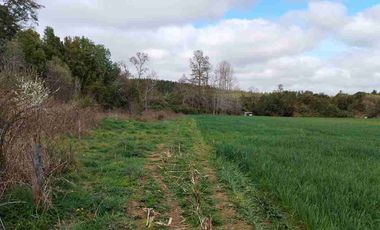 Se vende hermoso campo de 40 hectáreas en el sector Iñaqui, a solo 15 minutos del aeropuerto y 25 minutos del centro de Valdivia.