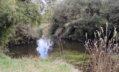 Se vende hermoso campo de 40 hectáreas en el sector Iñaqui, a solo 15 minutos del aeropuerto y 25 minutos del centro de Valdivia.
