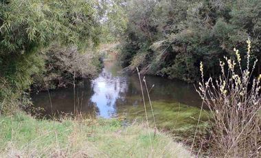 Se vende hermoso campo de 40 hectáreas en el sector Iñaqui, a solo 15 minutos del aeropuerto y 25 minutos del centro de Valdivia.