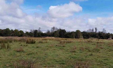 Se vende hermoso campo de 40 hectáreas en el sector Iñaqui, a solo 15 minutos del aeropuerto y 25 minutos del centro de Valdivia.