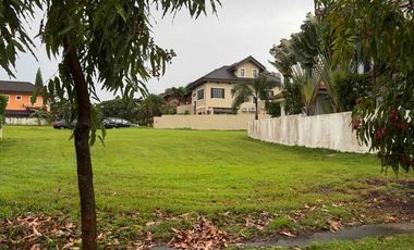 Residential Lot for Sale in Portofino South, Daang Hari, Las Piñas City