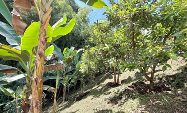 🏡 CASA CAMPESTRE EN COMBIA – ¡Oportunidad Única por Precio y Ubicación!