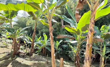 🏡 CASA CAMPESTRE EN COMBIA – ¡Oportunidad Única por Precio y Ubicación!