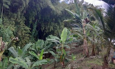 🏡 CASA CAMPESTRE EN COMBIA – ¡Oportunidad Única por Precio y Ubicación!