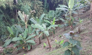 🏡 CASA CAMPESTRE EN COMBIA – ¡Oportunidad Única por Precio y Ubicación!