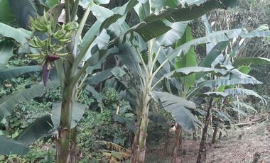 🏡 CASA CAMPESTRE EN COMBIA – ¡Oportunidad Única por Precio y Ubicación!