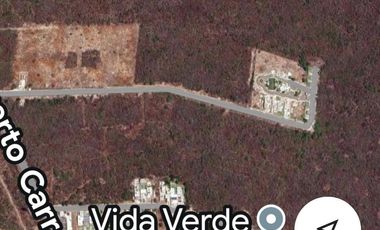 VENDO 1 Hectárea Uso Residencial en Cholul