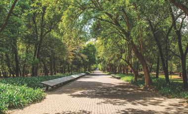 NUEVA CONSTRUCCIÓN EN POLANCO - SOLO 5 DEPARTAMENTOS DÚPLEX