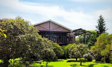 CASA - PATATE VIEJO, Patate, Ecuador