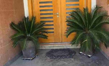 Renta de casa por consulafo