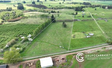 CAMPO 16.5 HECTAREAS A 16 KM DE OSORNO