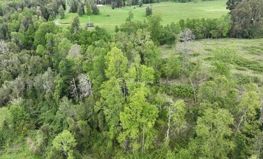 CAMPO 16.5 HECTAREAS A 16 KM DE OSORNO