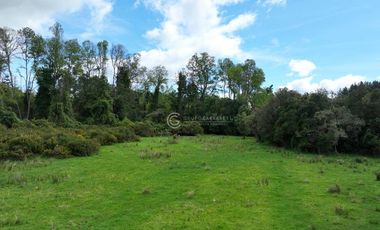 CAMPO 16.5 HECTAREAS A 16 KM DE OSORNO
