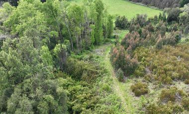 CAMPO 16.5 HECTAREAS A 16 KM DE OSORNO