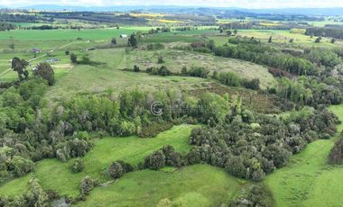 CAMPO 16.5 HECTAREAS A 16 KM DE OSORNO