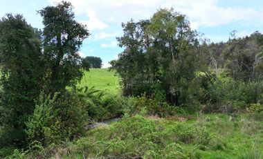 CAMPO 16.5 HECTAREAS A 16 KM DE OSORNO