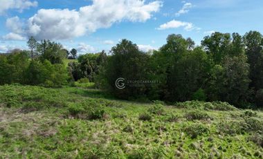 CAMPO 16.5 HECTAREAS A 16 KM DE OSORNO