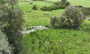 CAMPO 16.5 HECTAREAS A 16 KM DE OSORNO