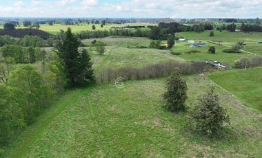 CAMPO 16.5 HECTAREAS A 16 KM DE OSORNO