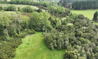 CAMPO 16.5 HECTAREAS A 16 KM DE OSORNO