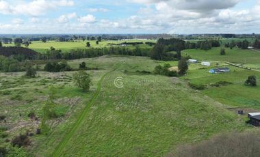 CAMPO 16.5 HECTAREAS A 16 KM DE OSORNO