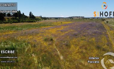 Parcela en Sector Rucapequen, Chillán Viejo, Region de Ñuble