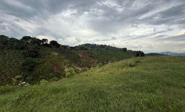 🏡 Lotes en Condominio – Vía Condina, Pereira