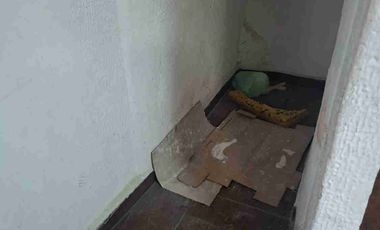 Excelente propiedad de 3 pisos