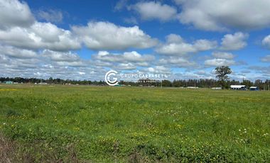 PARCELA OPORTUNIDAD TACAMÓ OSORNO