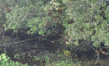 PARCELA OPORTUNIDAD TACAMÓ OSORNO