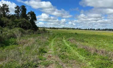 PARCELA OPORTUNIDAD TACAMÓ OSORNO