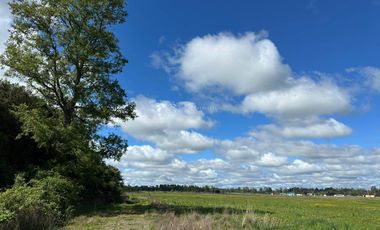 PARCELA OPORTUNIDAD TACAMÓ OSORNO
